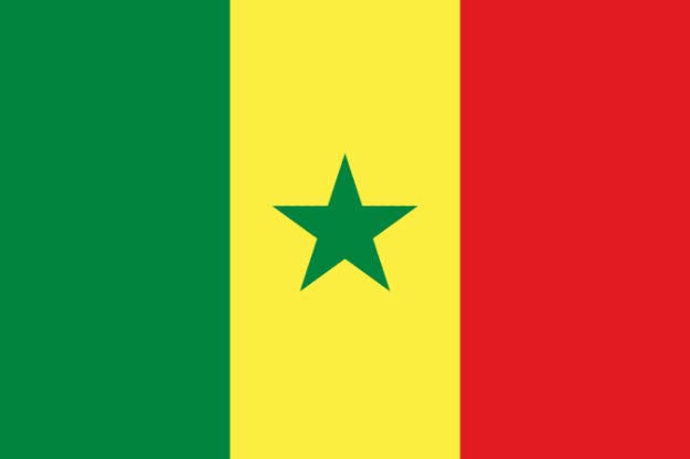 Vlag Senegal - 100x150cm Spun-Poly